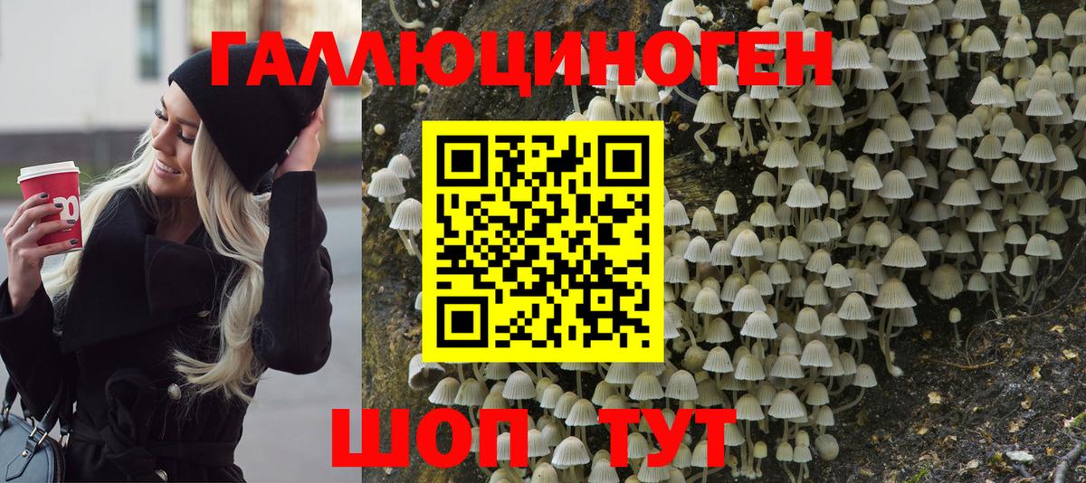 Псилоцибиновые грибы GOLDEN TEACHER  Псилоцибиновые грибы Cubensis  Сызрань  Вход с VPN 